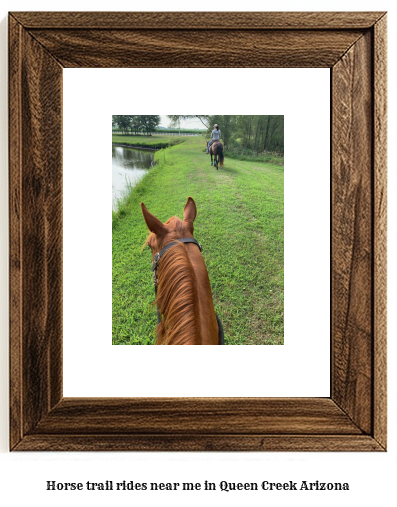 horse trail rides near me in Queen Creek, Arizona